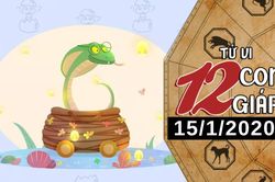 Tử vi thứ 4 ngày 15/1/2020 của 12 con giáp: Tỵ gặp người tri âm tri kỷ, Sửu bận rộn với công việc