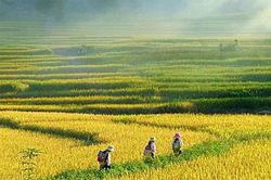 Khoảng trời nhớ nhung