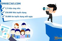 Timviec365.com: Giải pháp 'vàng' cho sự nghiệp 'kim cương'!