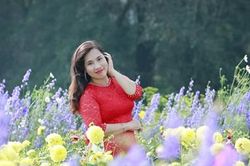 TRONG MƯA BAY TIẾNG MÙA TRÔI RẤT KHẼ