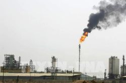 EIA dự báo giá dầu Brent sẽ ở mức trung bình 65 USD/thùng trong năm 2020
