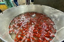 Nhộn nhịp chợ cá lớn nhất Hà Nội trước ngày ông Công ông Táo