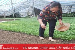Nông dân Đức Thọ không phải dãi nắng dầm mưa vẫn kiếm tiền triệu mỗi tháng