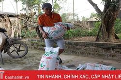 Dân trả lại phân NPK vì cứng như đá, phải dùng búa đập trước khi bón ruộng