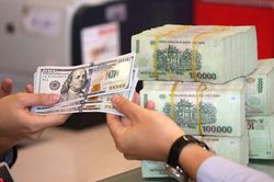 BVSC: Rủi ro Việt Nam bị Mỹ 'để mắt' tới vẫn chưa thể loại bỏ hoàn toàn