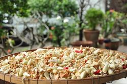 Tết của tôi : Thấy gió chướng là biết Tết về