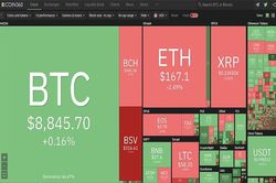 Thị trường phân hóa, Bitcoin áp sát ngưỡng 9.000 USD