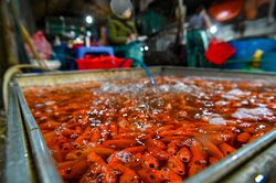 Chợ cá lớn nhất Hà Nội đỏ rực ngày cúng ông Công ông Táo