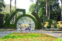 Hơn 4.000 hiện vật được trưng bày tại Hội hoa Xuân Canh Tý 2020