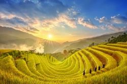 Huyện Mù Cang Chải: Tạo dựng thương hiệu từ chiến lược du lịch xanh