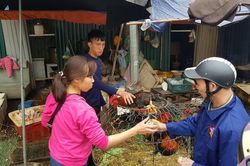 Chồn chân chờ gà cúng ông Công ông Táo, nhiều người muộn làm