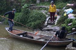 Cá chép ông Táo vừa thả đã bị kích điện vợt bắt