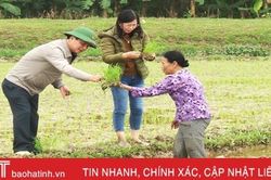 Hà Tĩnh phê bình nhiều địa phương thiếu sâu sát trong sản xuất vụ xuân 2020