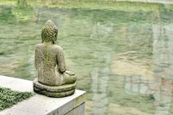 Đây là thứ độc hại nhất trong đời, con người hãy tránh càng xa càng tốt