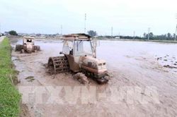 Bộ trưởng Nguyễn Xuân Cường: Tiết kiệm nhưng phải đảm bảo đủ nước gieo cấy vụ Đông Xuân