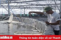 Huyện Nga Sơn phát triển nuôi trồng thủy sản theo hướng công nghệ cao