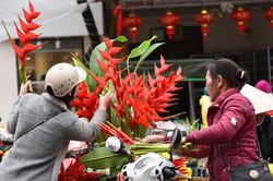 Người dân thành phố cúng Táo quân