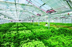 Đã có 12.581 doanh nghiệp đầu tư vào nông nghiệp
