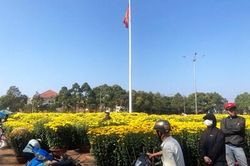 Rực rỡ chợ hoa Xuân Buôn Ma Thuột