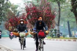 Dự báo thời tiết Tết Nguyên Đán Canh Tý 2020: Không khí lạnh tràn về đêm Giao thừa, miền Bắc rét đậm