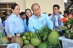Chuyện Thủ tướng tiếp nhận ý kiến của GS. Võ Tòng Xuân
