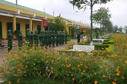 Hoa Tết của bộ đội 'một bốn ba'