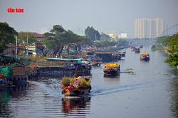 Nhộn nhịp chợ hoa Tết 'trên bến dưới thuyền' đầy sắc màu ở TP Hồ Chí Minh