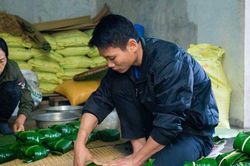 Làng bánh chưng thức xuyên đêm gói bánh 'chạy đua' phục vụ Tết Nguyên đán