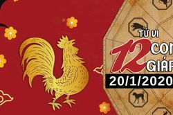 Tử vi thứ 2 ngày 20/1/2020 của 12 con giáp: Dậu bứt phá trong công việc, Sửu nên chú ý sức khỏe