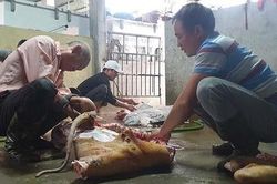Giá thịt lợn tăng cao, người miền Bắc 'đụng'... trâu, bò ăn Tết