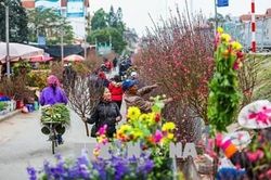 TẾT ĐOÀN VIÊN, TẾT HẠNH PHÚC