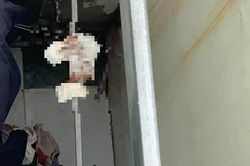 Giáo viên dạy Ngữ Văn bị 'ném đá' nhiệt tình vì hành động bất thường
