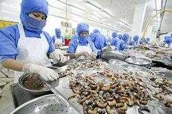 Tăng tiền thưởng Tết cho công nhân thủy sản