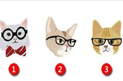 Trắc nghiệm: Bạn yêu theo kiểu nào?