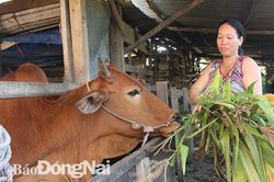 Huyện Tân Phú: Cùng người dân thoát nghèo