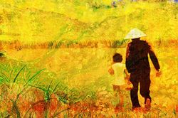 Chiều cuối năm ấm áp