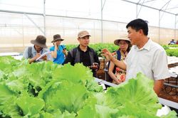 Gia đình nông nghiệp đặc biệt