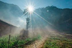 Đi qua mùa sương giá
