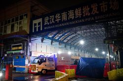 TQ đe dọa 'đóng đinh vào cột ô nhục' nếu bưng bít thông tin virus lạ