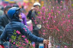 Miền Bắc đón Tết trong mưa rét