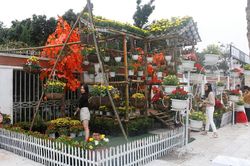 Rực rỡ đường hoa thành phố Vinh những ngày áp tết