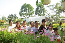 Làng hoa Sa Đéc rộn ràng đón xuân