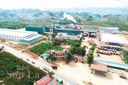 Sức xuân vùng động lực kinh tế
