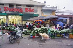 Độc đáo khu chợ bán hơn nửa triệu lá dong mỗi ngày