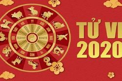 Sự nghiệp của 12 con giáp trong năm Canh Tý 2020