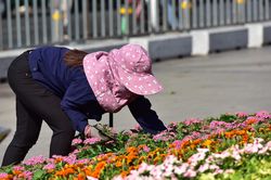 Người dân TP.HCM thưởng lãm đường hoa Nguyễn Huệ trước giờ khai mạc