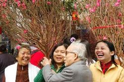 Dự báo thời tiết Tết Canh Tý: Bắc Bộ nhiệt độ tăng dần, trưa chiều trời nắng