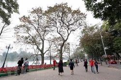 Bắc Bộ nắng xuất hiện vào trưa chiều nhưng trời vẫn rét