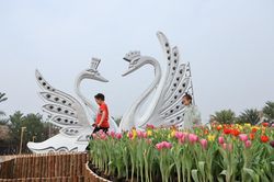 Dịp Tết thưởng thức 'Bản giao hưởng mùa xuân' lung linh tại Ecopark
