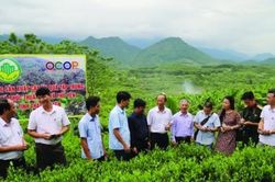 Hoàn thành chương trình xây dựng nông thôn mới, xứng tầm đô thị loại III